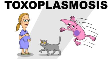 Toxoplasmosi in gravidanza