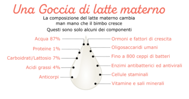 composizione latte materno